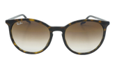 Square Sunglasses "Havana" RB2204F-902-51_54