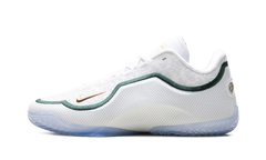 Lebron 23 "From This Point Forward" HJ5629 101
