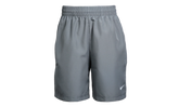 Multi Dri-FIT Training Shorts GS "Smoke Grey / White" DX5382 084