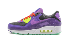 Air Max 90 "Animal Pack - Violet Blend" CZ5588 001
