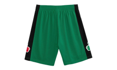 NBA Swingman Shorts "2007 Boston Celtics - Green" SMSHAC19182 BCEKYGN07