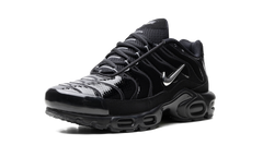 Air Max Plus "Metallic Black" FJ2591 001