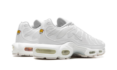 AIR MAX PLUS WMNS"Pure Platinum" DM2362 100