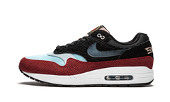 Air Max 1 PRM "Swipa/De'Aaron Fox" CJ9746 001