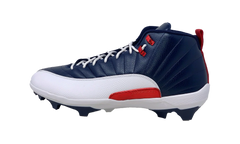Jordan 12 Force Savage 3 PE "Howard Bison'" FJ6223 416