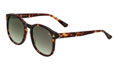 Revolution Acetate "Brown Tortoise / Gray Gradient" MPRE2 0007 40T5