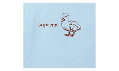 Duck T-Shirt "SS26 - Powder Blue" SU27272