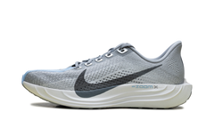 ZoomX Pegasus Plus Wmns"Grey" FQ7261-004